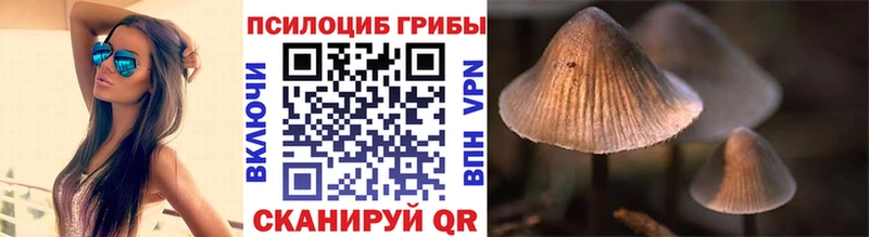 Галлюциногенные грибы мицелий Сычёвка